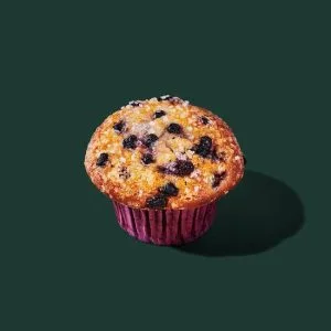 Blueberry Muffin

